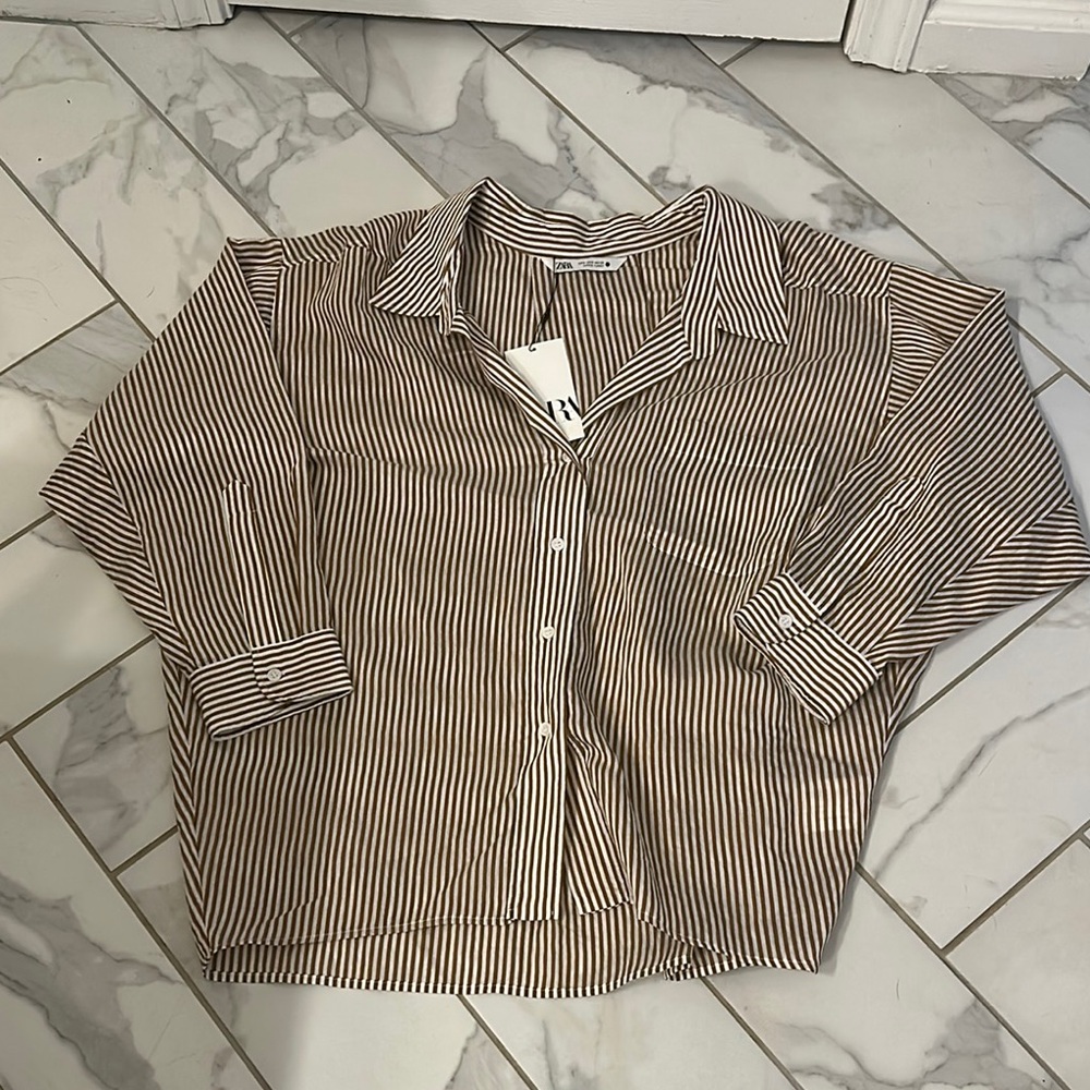 Zara Brown Striped Blouse